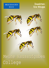 Hausaufgabenheft: Insekten - Die Wespe