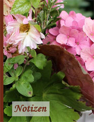 Notizbuch - Rosa Chrysanthemen im Herbst