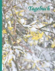 Tagebuch - Winterjasmin im Schnee