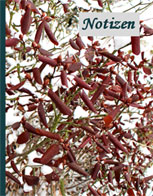 notizbuch-winter-band-10